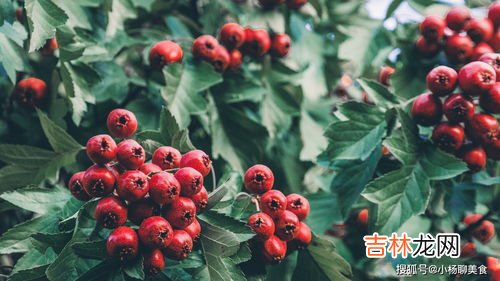 山楂和桃子能一块吃吗,山楂和什么不能一起吃