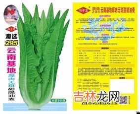 茎菜类蔬菜有哪些,哪些蔬菜吃的是茎？