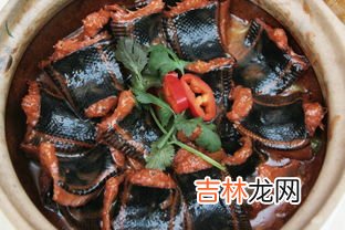 山坑石螺的功效与作用,石螺吃什么东西的？