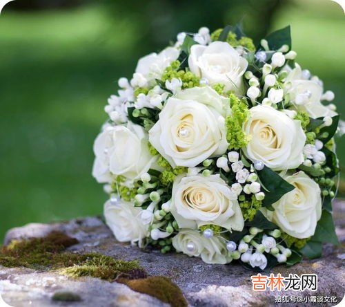 白色玫瑰花语,白色玫瑰花花语是什么?