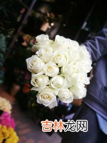 白色玫瑰花语,白色玫瑰花花语是什么?