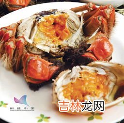毛蟹不能与什么食物同吃,螃蟹不能和什么东西一块吃