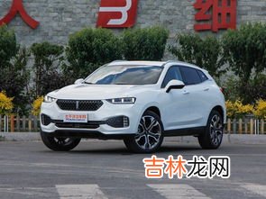 wey是什么车,wey是什么品牌车