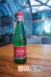 苏打汽水是碳酸饮料吗,苏打水是碳酸饮料吗苏打汽水才属于碳酸饮料哦