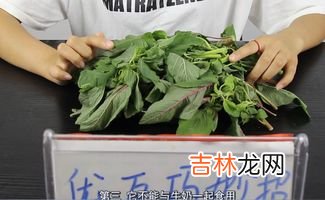 苋菜不能和什么一起吃,苋菜和什么不能一起吃