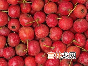 石榴和山楂可以一起吃吗,山药都不能和什么水果一起吃