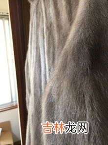 合成貂皮跟真貂皮的区别,高仿貂皮和真貂的区别是什么？