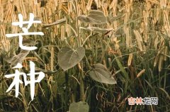 二十四节气2023年芒种节气祝福贺词