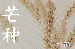 2023芒种是什么时候 2023年芒种是哪天