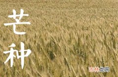 2023安苗节是几月几日 安苗节的由来及习俗