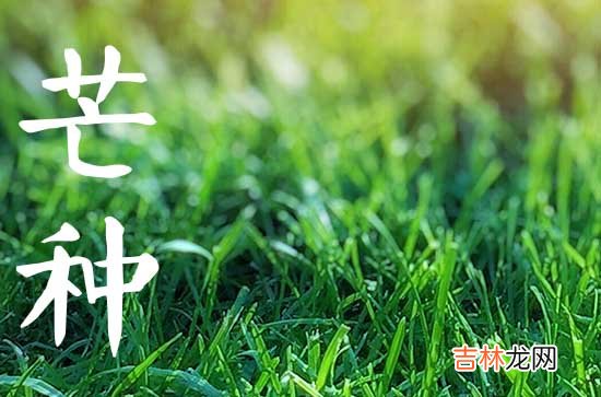 2023芒种节气在什么时候 2023芒种有几天