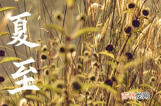 夏至是几月几号2023年 今年夏至是几号