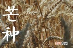 2023年芒种是几月几号 2023芒种美好寓意是什么