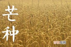 2023年6月6日是什么节气 2023年6月6日节气具体时间