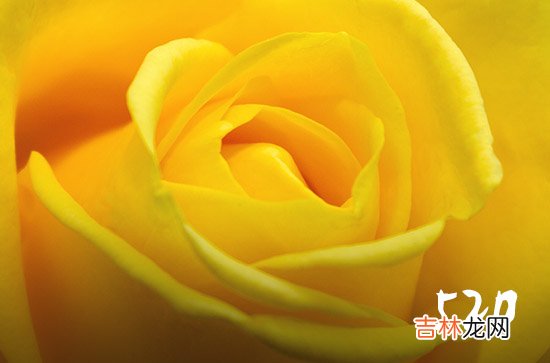 520朋友圈纪念文案说说 520朋友圈唯美文案短句2023
