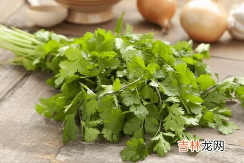 冰箱如何保存香菜,香菜可以放冰箱保存吗香菜如何保存