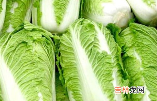 青菜为什么不能放冰箱里面,蔬菜不能放冰箱保鲜吗