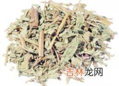 钓鱼小药有藿香的味道,钓鱼中用的藿香是广藿香吗