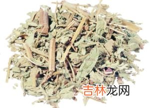 钓鱼小药有藿香的味道,钓鱼中用的藿香是广藿香吗