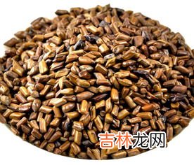 钓鱼小药有藿香的味道,钓鱼中用的藿香是广藿香吗