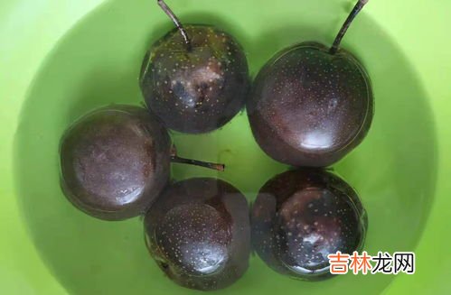 在冰箱冻梨为什么不黑,为什么冻过得梨是黑色的