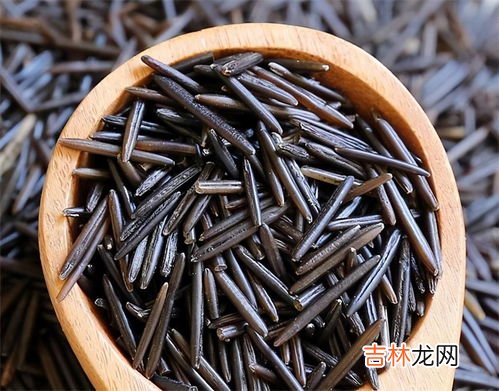加拿大野米的功效与作用,大家知道野米可以经常吃吗?
