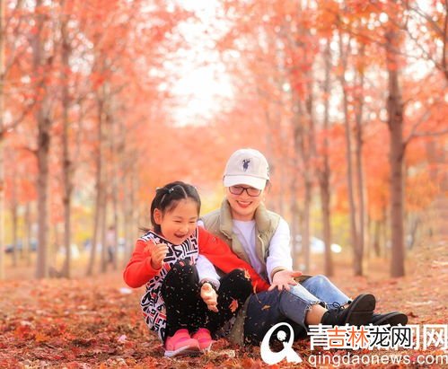张家楼枫叶林在哪个位置,张家港枫叶林在哪里