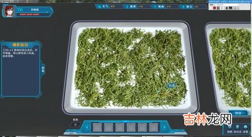 山银花和金银花的区别,山银花与金银花有什么区别?