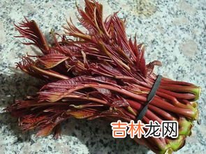 香椿的味道,怎么挑选香椿呢