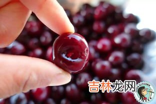 樱桃去籽方法,怎么能把樱桃种子外面的壳弄掉。没有工具