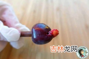 樱桃去籽方法,怎么能把樱桃种子外面的壳弄掉。没有工具