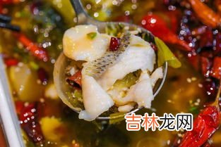 什么鱼适合做酸菜鱼,哪种鱼做酸菜鱼好吃
