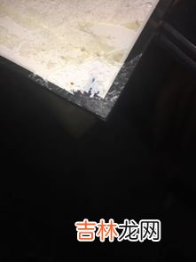 粘玻璃用什么胶水最牢固,玻璃什么胶水粘贴最好