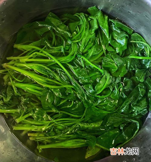 立冬不砍菜必定要受害的意思,立冬俗语
