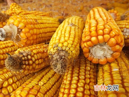玉米煮熟变红色有毒吗,玉米放的时间长了,煮熟了变红了还能吃吗?