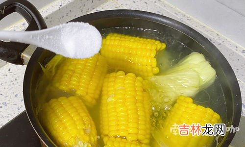 玉米棒煮多长时间能熟,玉米棒子煮多久能熟