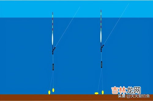 钓鱼调漂的正确方法,钓鱼正确的调漂方法