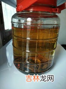 蜈蚣酒能不能喝,蜈蚣酒可以喝不