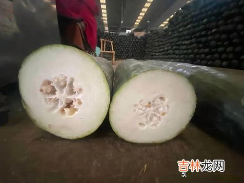冬瓜是碳水还是蔬菜,冬瓜有什么好处