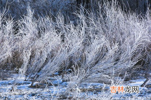 夏天加零下40度玻璃水行吗,玻璃水零下10度夏天可以加吗