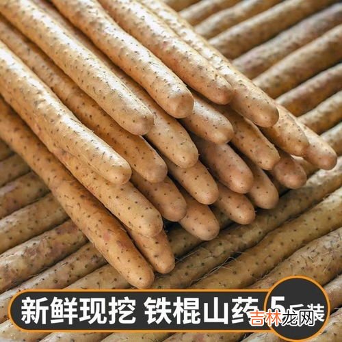 正宗铁棍山药产地是哪,铁棍山药原产地在哪里?