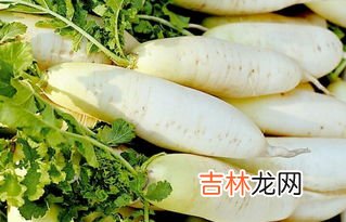 萝卜怕不怕霜冻,萝卜怕霜冻吗