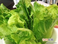 生菜怎么保存新鲜不烂,生菜怎么保存新鲜不烂