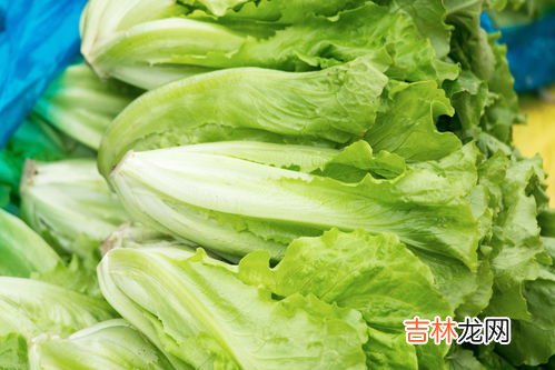 生菜怎么保存新鲜不烂,生菜怎么保存新鲜不烂