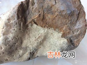 石陨石怎么鉴定,土方法鉴定陨石