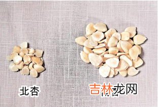 甜杏仁是南杏还是北杏,苦杏仁是南杏还是北杏 苦杏仁是什么果实