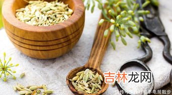 小茴香籽怎么泡水,调料小茴香怎么用