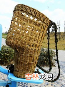 小背篓怎么放水,壁挂炉加水加多了，水压过高怎么办？如何能放水？