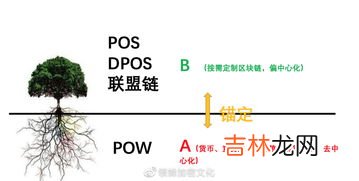 区化链是什么意思,什么是区块链概念