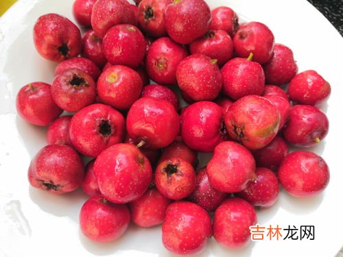 糖霜山楂可以放几天,经典小吃糖霜山楂球怎么做,可以创业吗?